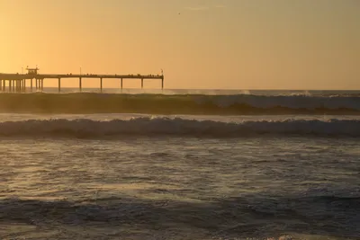 DSC_7091 (Large).JPG